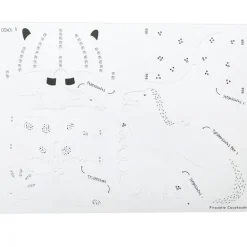 6 dinosaures à colorier, kit créatif pour enfant Pirouette Cacahouète<PIROUETTE CACAHOUETE Cheap