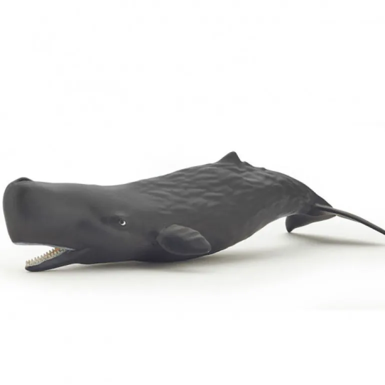 Bébé cachalot, figurine 56045<Papo Outlet