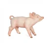Cochonnet femelle, figurine 51136<Papo Online