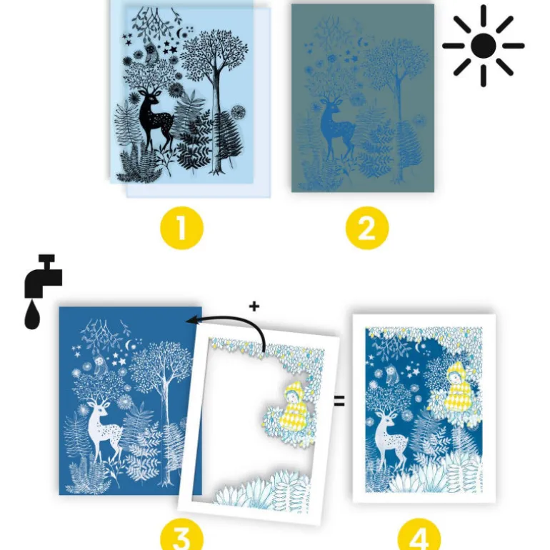 Coffret cyanotype "Au clair de la lune" 9342<Djeco Best