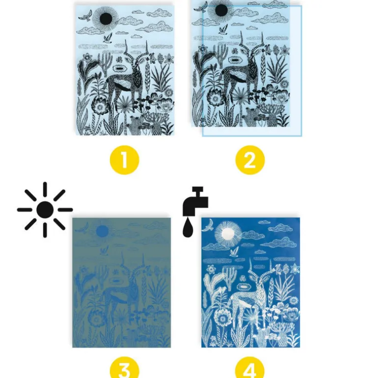 Coffret cyanotype "Savane nocturne" 9343<Djeco Clearance