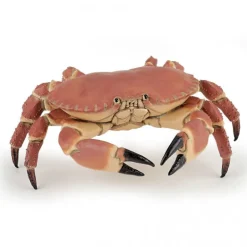 Crabe, figurine 56047<Papo Best Sale