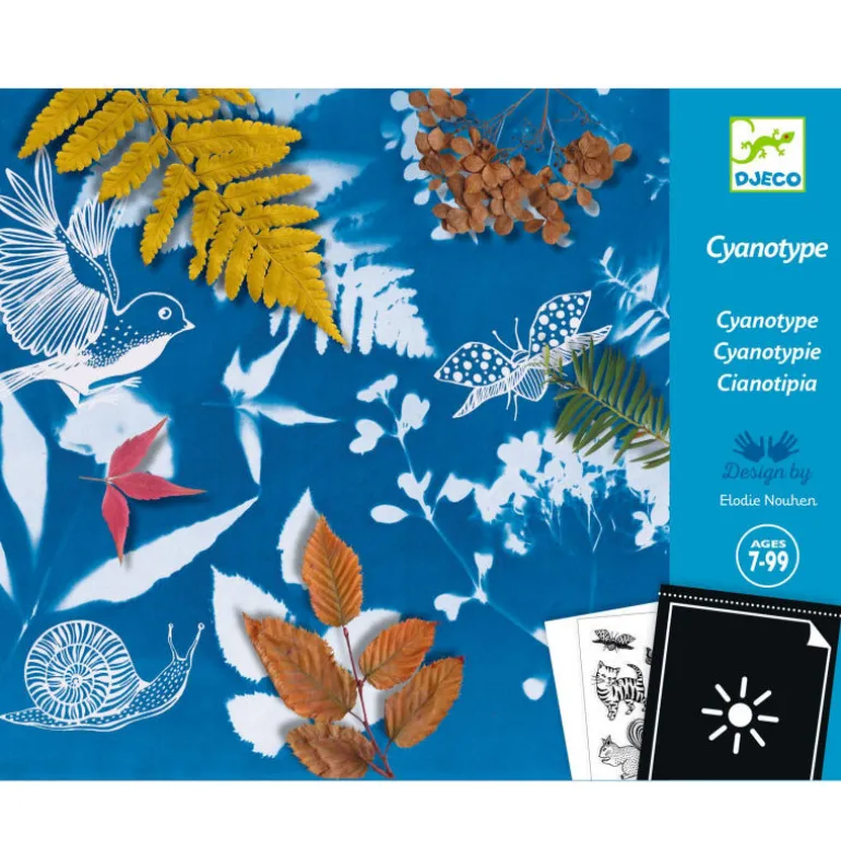 Cyanotype - kit d'initiation 9339<Djeco Best Sale