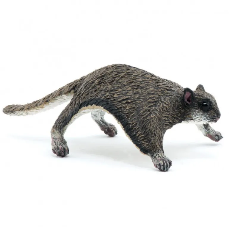 Ecureuil volant, figurine 50296<Papo Store