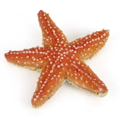 Etoile de mer, figurine 56050<Papo Fashion