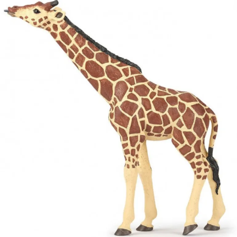 Girafe tête levée, figurine 50236<Papo Flash Sale