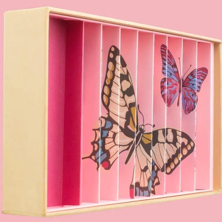 Grand coffret de billes "Papillon anamorphique" Billes & Co<Billes & Co Discount