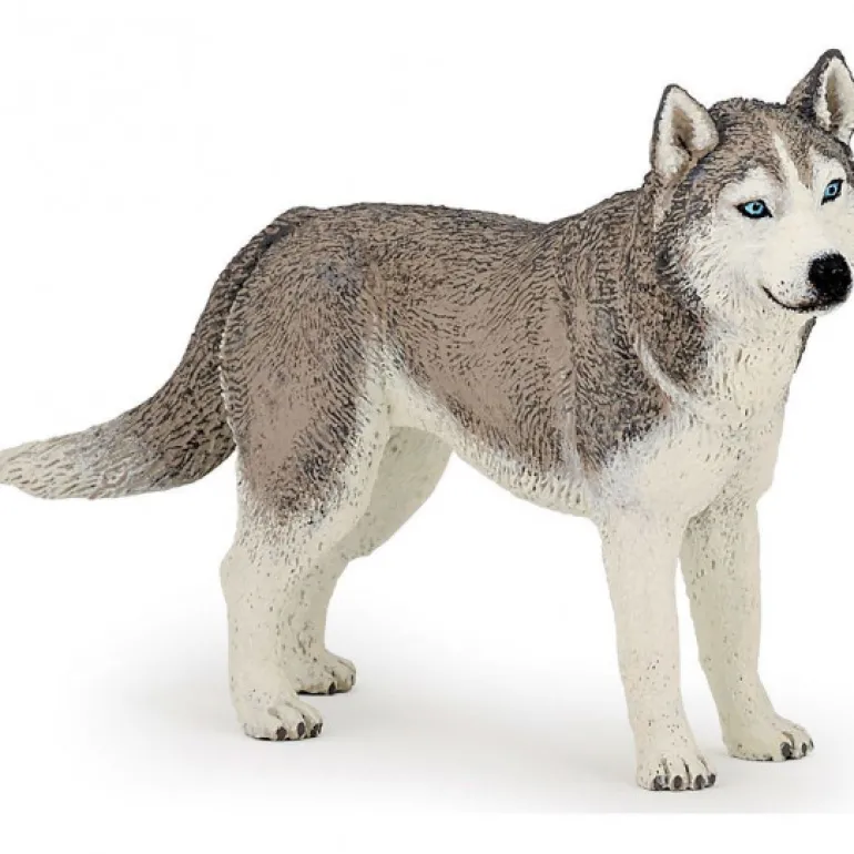 Husky de Sibérie, figurine 54035<Papo Online
