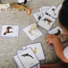 Imagier ANIMAUX mini Mondy, cartes de nomenclature<Observe Montessori Discount