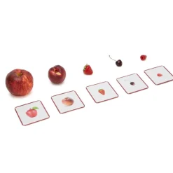 Imagier Giga Mondy, cartes de nomenclature<Observe Montessori Hot