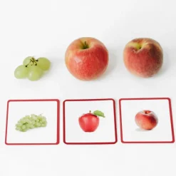 Imagier Giga Mondy, cartes de nomenclature<Observe Montessori Hot