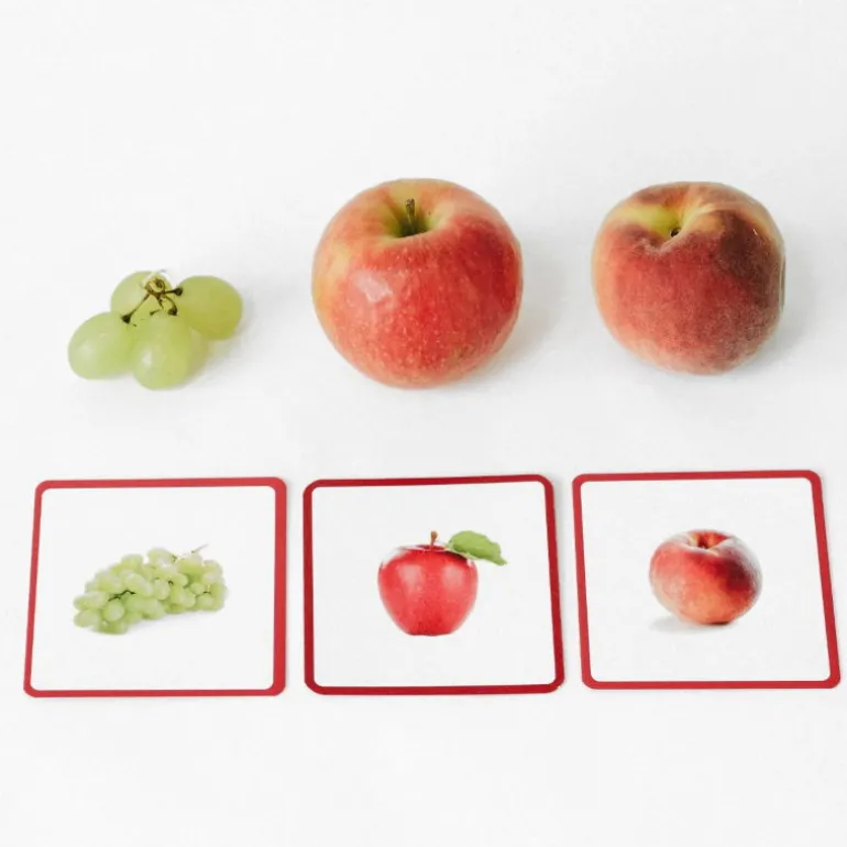 Imagier Giga Mondy, cartes de nomenclature<Observe Montessori Hot