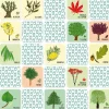 Jeu de mémory 'L'arbre et sa feuille' Pirouette Cacahouète<PIROUETTE CACAHOUETE Store