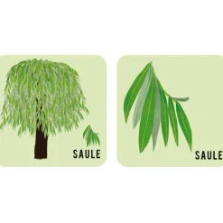 Jeu de mémory 'L'arbre et sa feuille' Pirouette Cacahouète<PIROUETTE CACAHOUETE Store