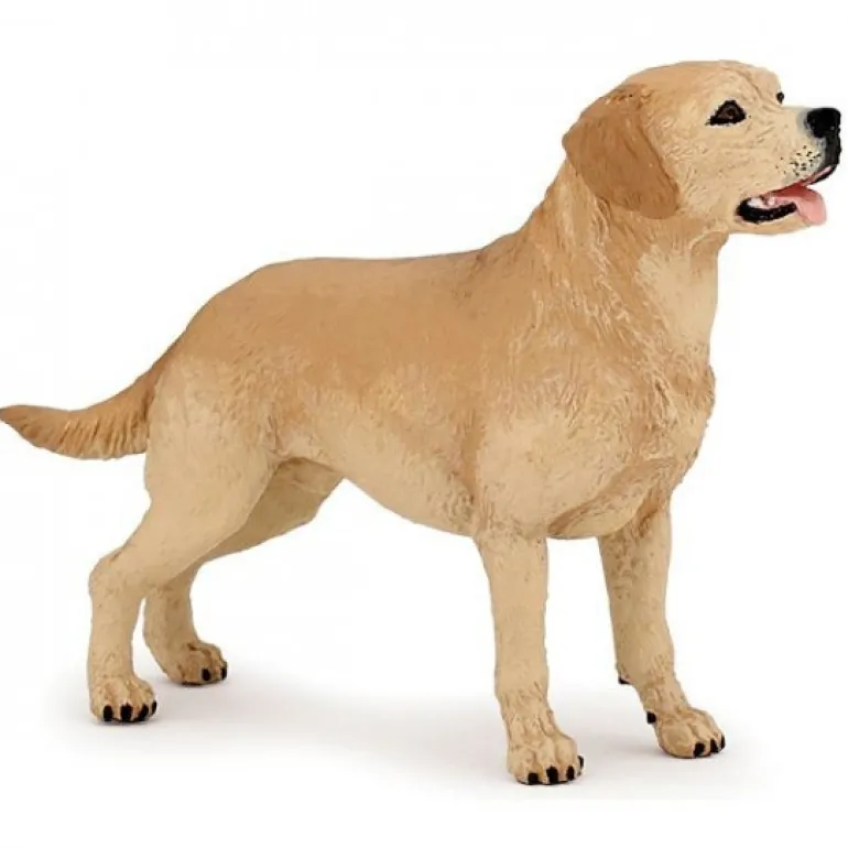 Labrador, figurine 54029<Papo New