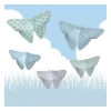 Les beaux papillons, maquettes en papier ''<Sophie et Martin Best Sale