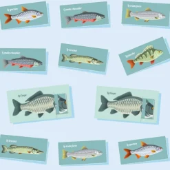 Les jolis poissons, kit minisuper ''<Sophie et Martin Shop
