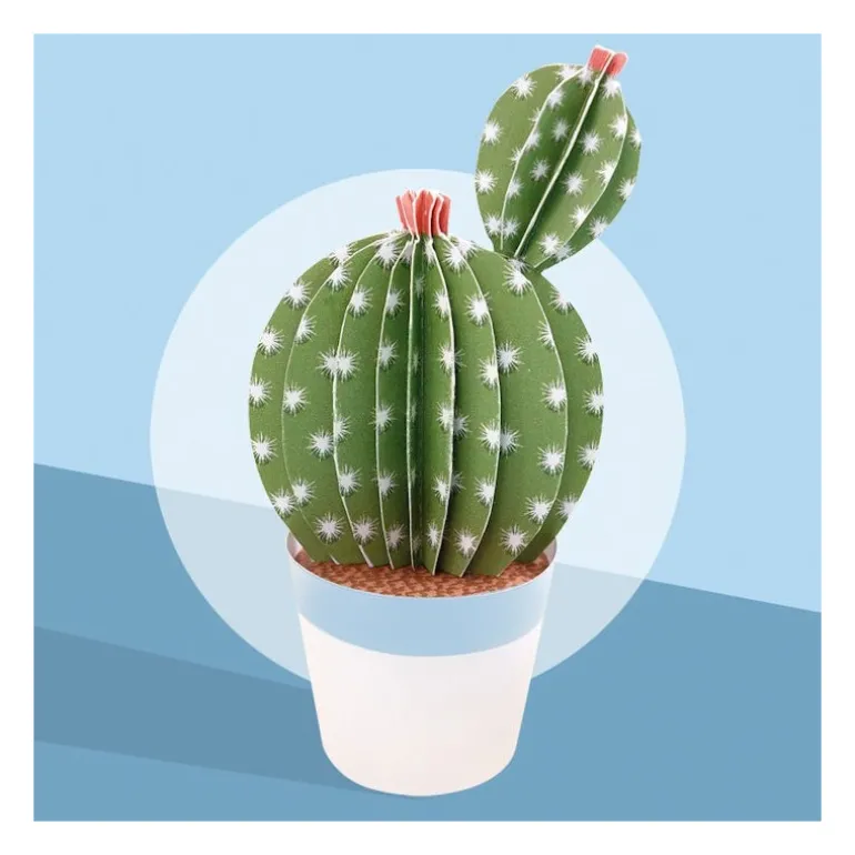 Les petits cactus, maquettes en papier ''<Sophie et Martin Discount