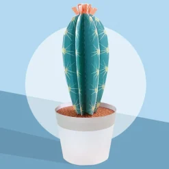 Les petits cactus, maquettes en papier ''<Sophie et Martin Discount