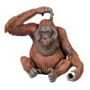 Orang-Outan 50120<Papo Cheap