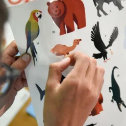 Poster en stickers "Animaux du monde"<POPPIK Outlet