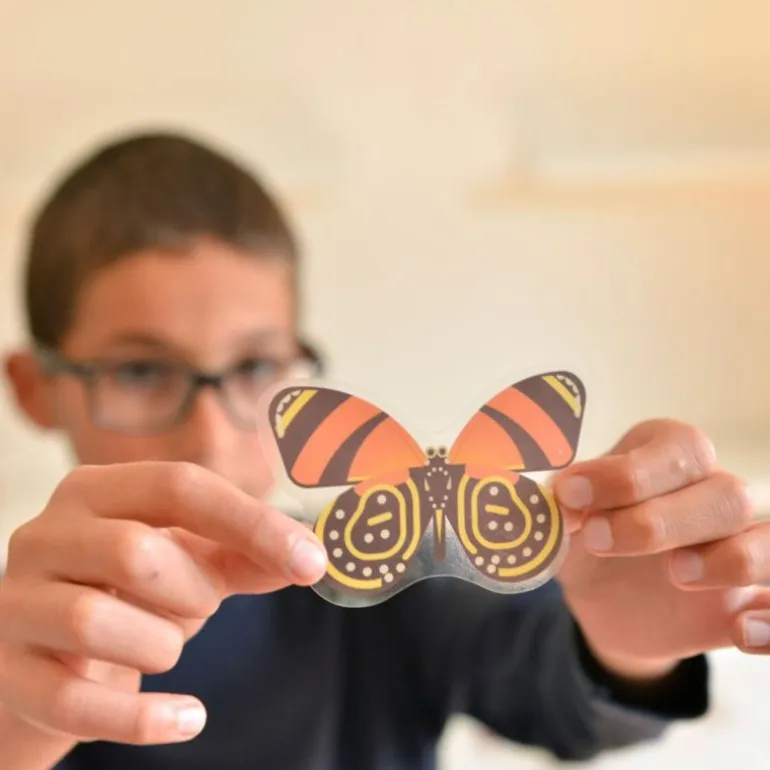 Poster en stickers "Insectes"<POPPIK Best Sale