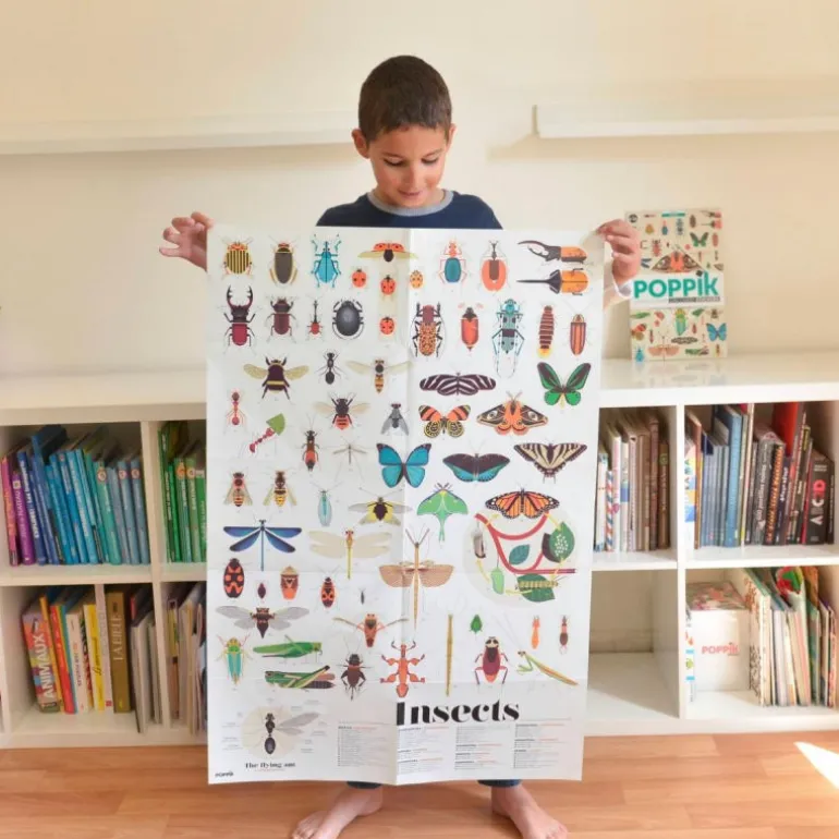Poster en stickers "Insectes"<POPPIK Best Sale