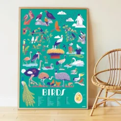Poster en stickers "Oiseaux"<POPPIK Cheap