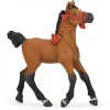 Poulain arabe en tenue de parade, 51548<Papo Hot