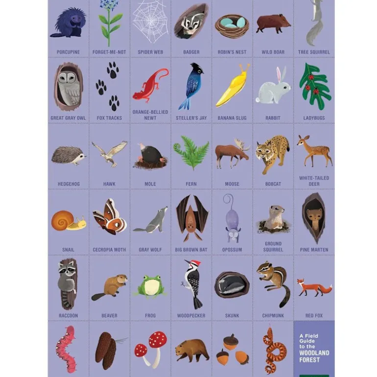 Puzzle 'Cherche & Trouve' Animaux de la forêt 64 pcs<Mudpuppy New