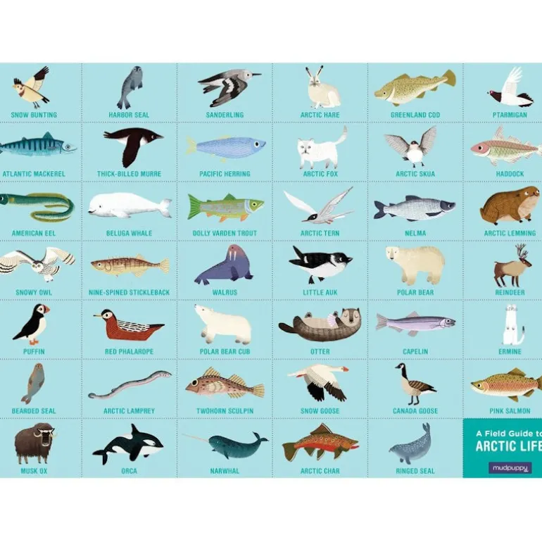 Puzzle 'Cherche & Trouve' Vie arctique 64 pcs<Mudpuppy Store