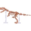 Squelette de T-Rex Deluxe<nanoblock Outlet