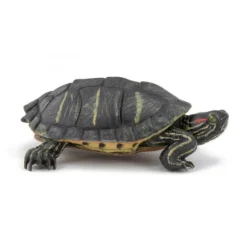 Tortue de Floride, figurine 50309<Papo Clearance