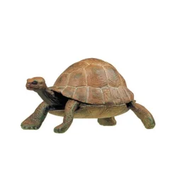 Tortue, figurine 50013<Papo Online