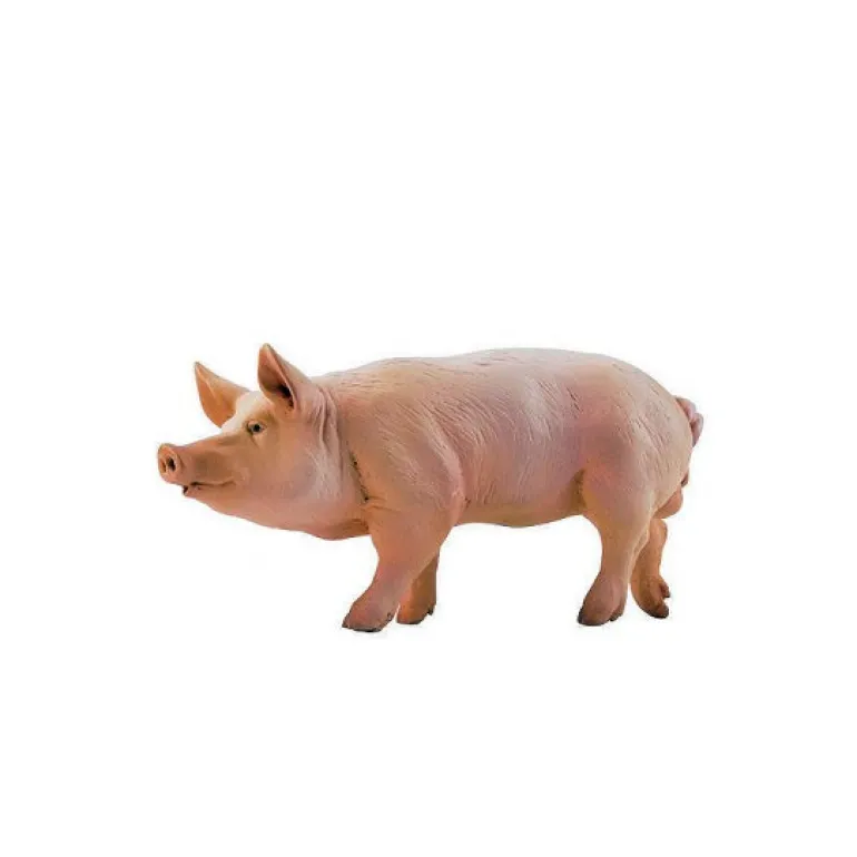 Verrat, figurine 51044<Papo Flash Sale